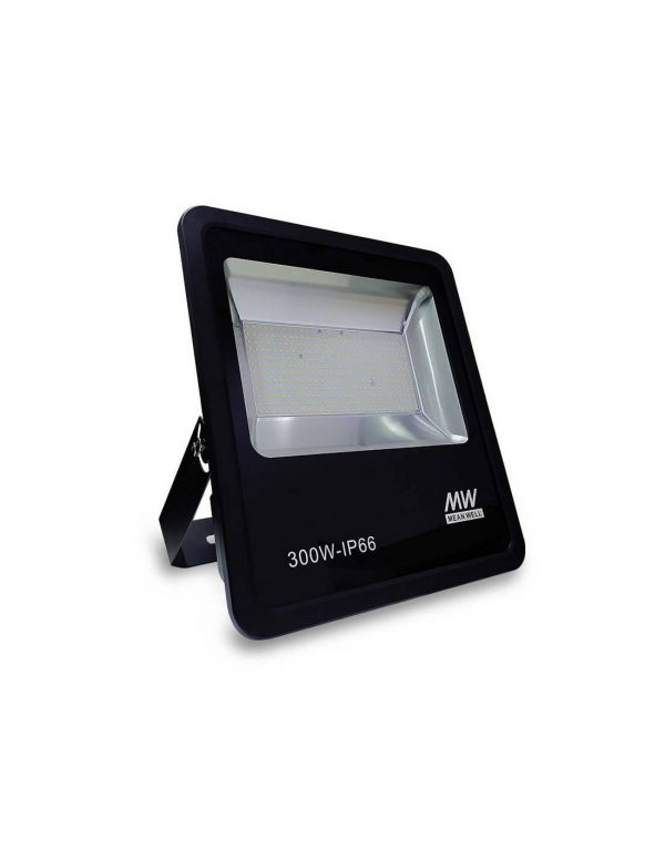 PROYECTOR LED 300W, FORK